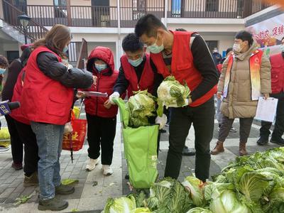 两万斤白菜免费赠送！青岛多措并举缓解农户“卖菜难”