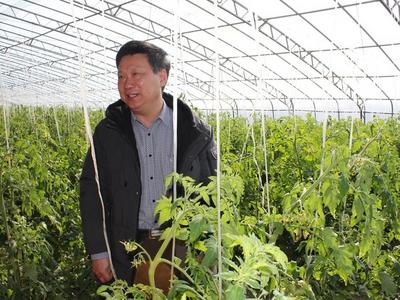 农技推广系统唯一入选人员！青岛市农技中心高级农艺师王连刚获评全国技术能手