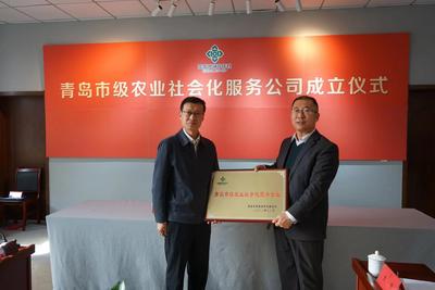 青岛市供销合作社市级农业社会化服务企业成立