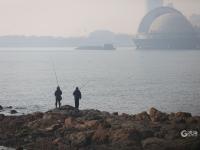 遛娃、垂钓……青岛海滨冬日“暖镜头”来了