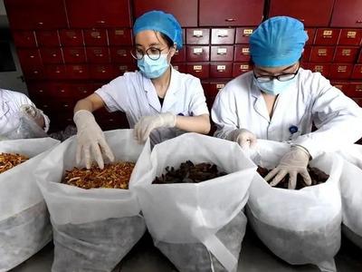 国务院联防联控机制：在城乡基层充分应用中药汤剂开展新冠病毒感染治疗工作