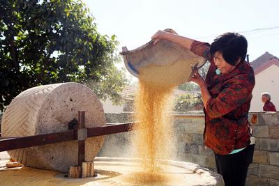 “两节”同办！正是丰收好时节，崂山富民增收引擎轰隆作响
