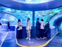 青岛海底世界实拍：免票政策将结束，速来“薅羊毛”