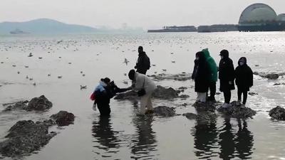 最美人梯！青岛英雄队长趴在冰冷刺骨海水中，连救8名游客 