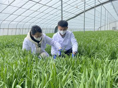 青岛农产品出口何以持续“领跑”？