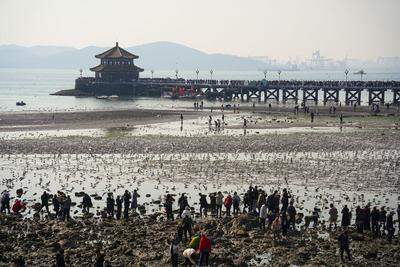 365天，最动人的光影|2022取景框⑯