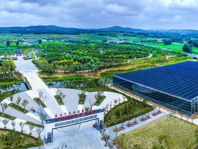 青岛西海岸新区：“红色引擎”赋能乡村振兴