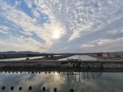 全省第一！青岛完成6161个入海排污口验收销号，近岸海域优良水质面积达99%