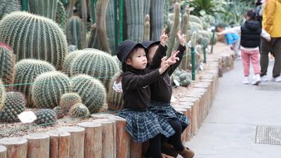 冬日“绿野仙踪”在此！|春节打卡地②