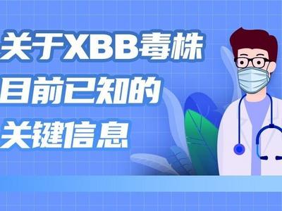 关于XBB毒株，目前已知的关键信息