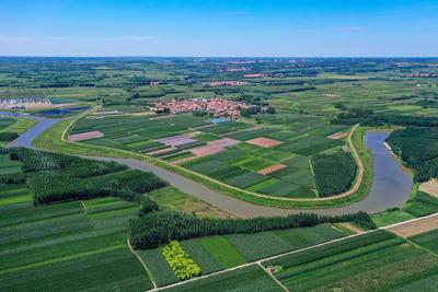 向“幸福”对焦|2022取景框⑮