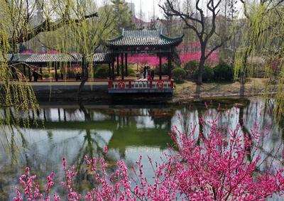 向“幸福”对焦|2022取景框⑮