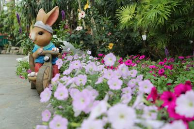 冬日“绿野仙踪”在此！|春节打卡地②