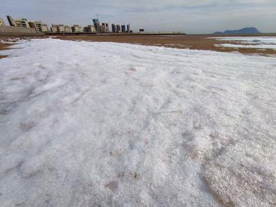 春运进入高峰时段！一图看春运路上天气如何 这些地方警惕极寒天气