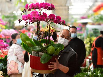 花卉市场迎来畅销季