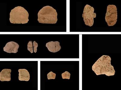 山东发现距今1.32万年的人类遗址，出土1000余件早期人类遗物