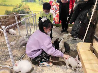 春节旅游开门红，“旅游+科技”的文旅新场景圈粉无数