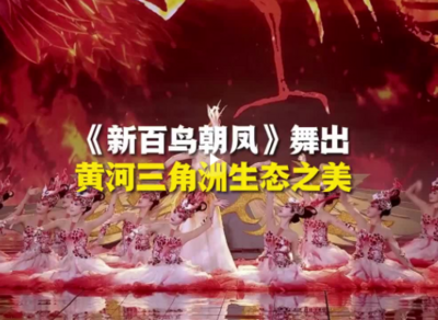 大年二十八，看山东春晚灵动！《新百鸟朝凤》舞出黄河三角洲生态之美