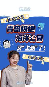 极地海洋公园“上新” 升级后啥样？观海主播跟你唠……
