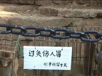 峨眉山猴子被“刑拘”？景区回应