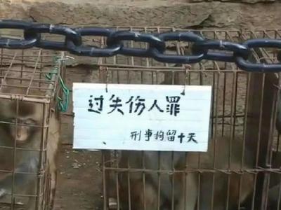 峨眉山猴子被刑拘？当地回应