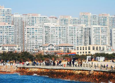 冬日小麦岛：每次快门按下，都美成了画