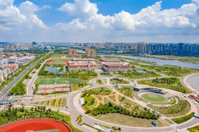 “五个聚焦”，“实”打“实”硬仗！青岛发出实体经济进阶动员