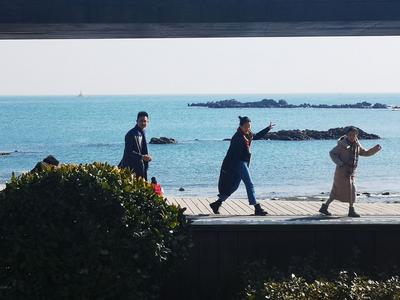 冬日小麦岛：每次快门按下，都美成了画