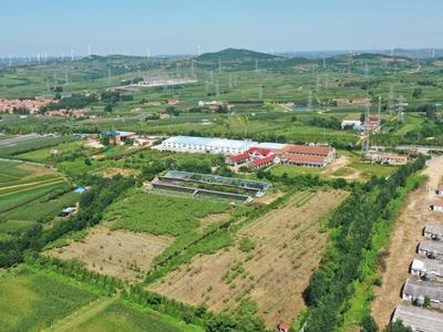 中央纪委印发《意见》，坚决整治乡村振兴领域不正之风和腐败问题
