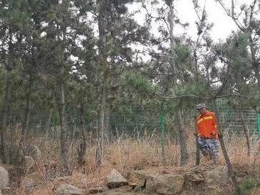 山东省森防指：防火期内这些行为明令禁止