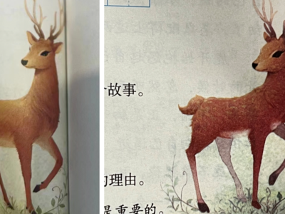 语文课本配图出错？小学生的这个质疑，出版社回应了！