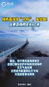 栈桥西海岸“分桥”，美出圈！