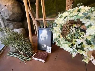 中美将联合调查大熊猫“乐乐”死因，网友：很难过，心都碎了