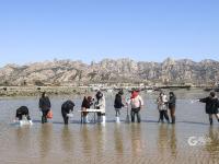 边挖蛤蜊边直播带货？青岛这群主播为了助农蛮拼的！