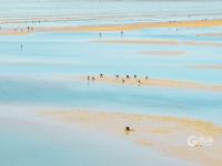 边挖蛤蜊边直播带货？青岛这群主播为了助农蛮拼的！