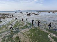 边挖蛤蜊边直播带货？青岛这群主播为了助农蛮拼的！