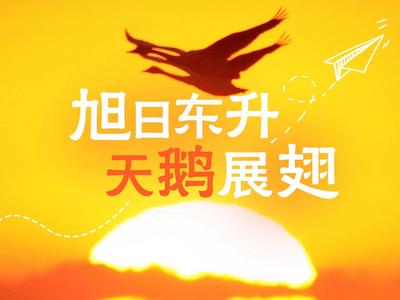闪电海报丨来山东，赴一场春天的约会