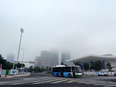 出行注意！青岛今晚局部有雾，未来三天气温波动回升，大风时段较多