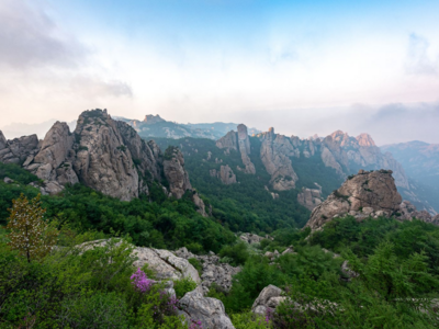 初步设计面积1145亩，青岛这里将实施山体恢复绿化项目