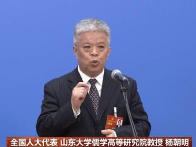 杨朝明亮相“代表通道”：让世界感受中华传统文化的独特魅力