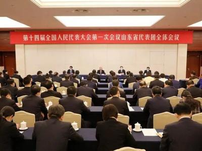 山东代表团举行全体会议总结代表团工作