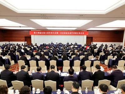 十四届全国人大一次会议山东代表团成立 推选林武为团长