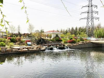 青岛首家！这家污水处理厂获评园林式单位！