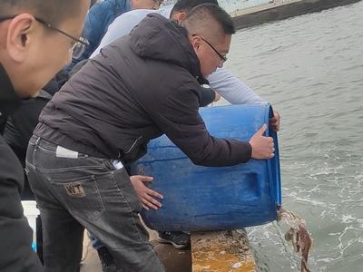 放流1万余尾野生海洋鱼苗，崂山区开展第十个世界野生动植物日宣传活动