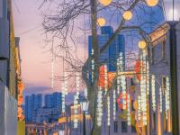 越夜越春天！这里的“花与夜”好惊艳，上镜头