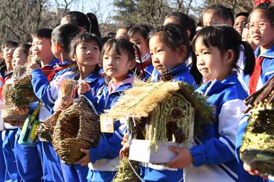 把生态课堂“搬进”林地？第10个“世界野生动植物日”，一群青岛娃这样做