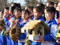 把生态课堂“搬进”林地？第10个“世界野生动植物日”，一群青岛娃这样做