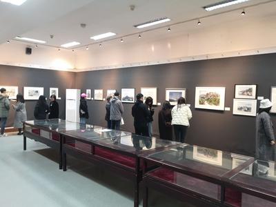 感受女性对艺术坚定的热爱！第13届“在水一方”当代女水彩画家作品展在青举办