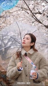 花海崂山，“樱”你绽放！北宅喊你来“过节”，看镜头
