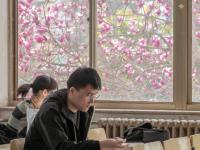 春满校园，农大枝头百花绽放